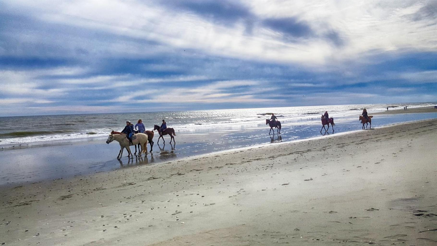 Romantic Oceanfront View, Discounted, Pools Myrtle Beach Bagian luar foto